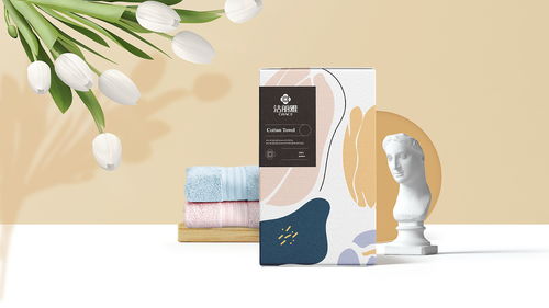 洁丽雅高端毛巾系列方案A 纹理脉络，触见非凡——基于Veins纹理的平面包装设计解析